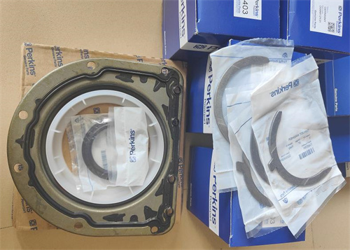 CAT卡特挖机320D2 323D2 C6.6珀金斯Perkins发动机前油封2418F554