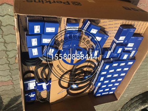 戴纳派克压路机珀金斯403D-11：维修保养与配件全攻略