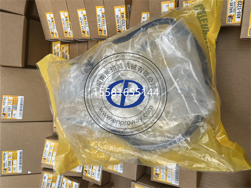 卡特彼勒G3516A燃气发电机组176-5869线束1765869