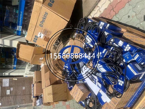 振宇挖掘机1106D-E66TA珀金斯发动机维修保养全攻略：配件选购与故障处理指南