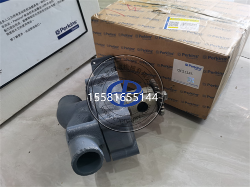 Perkins 2006发电