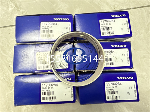 沃尔沃11700284凸轮轴轴承衬