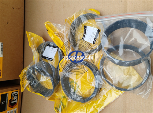 卡特彼勒D10N D10R D10T2 D10 D10T推土机心脏守护者:207-7107平衡杆密封件零配件