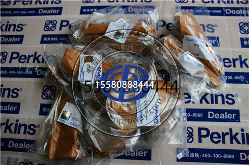 帕金斯1103A-33TG2发电机组进气门3142H071与排气门3142A151：维修配件全解析