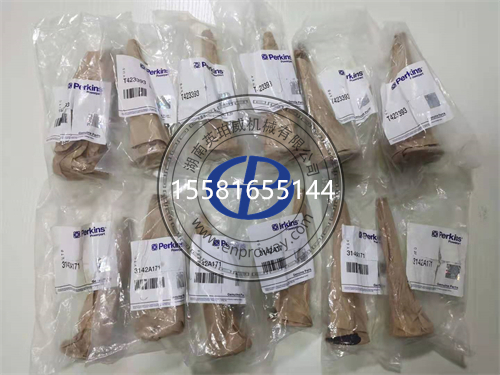 帕金斯4012柴油发动机的“秘密武器”：气门导管T401899与气门T401928