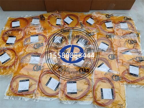卡特彼勒2701539OFRS密封圈套件：机械密封的坚固防线