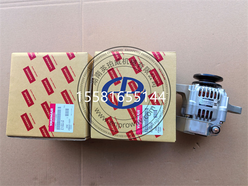 洋马4TNV98发电机123951-77200