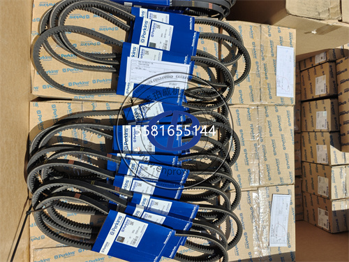 帕金斯400系列发动机交流发电机皮带T80109109