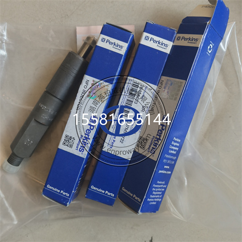 征服极端，稳定供油：帕金斯1004发动机喷油器2645K023