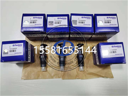 帕金斯404D发电机组喷油器131406500