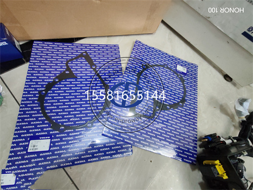 Volvo Penta沃尔沃遍达21795852水泵垫片/温器壳密封垫