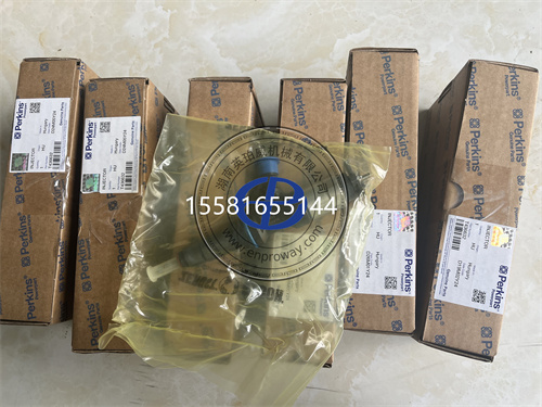 帕金斯发电机组保养件T436632喷油器总成1200系列工程机械农机船机配件