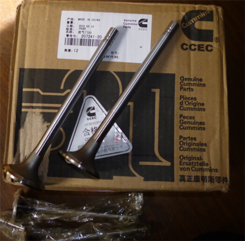 康明斯L9.3 L105柴油发动机缸体