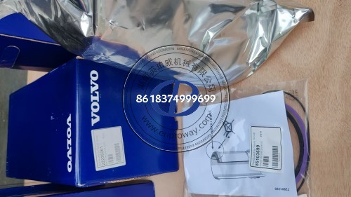 沃尔沃遍达TAD1170VE发动机维修配件22235061气缸套套件