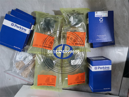 Perkins 4.4TW2GM发动机中修配件大全