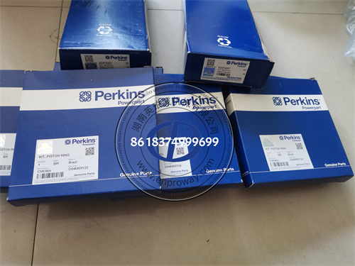 Perkins3008/3012TAG柴油发动机大修配件CVK564活塞环