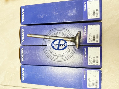 VOLVO Penta发动机维修配件排气阀门20565912