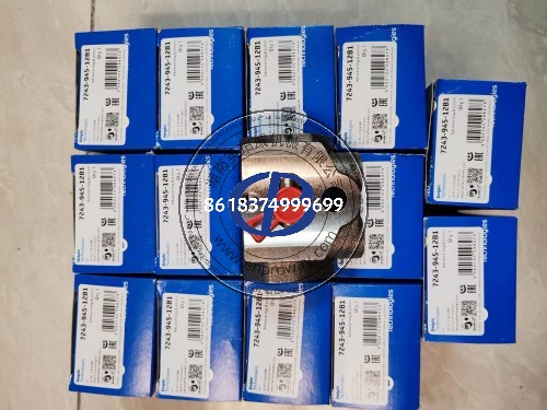 DELPHI德尔福原厂配件7243-945 HOUSING & PISTON For DP210