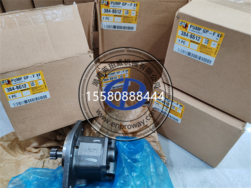 卡特320d2电子油泵维修秘籍，都在这个视频里！